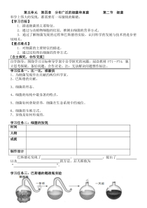 5.4.2《细菌》导学案4-八年级上册生物人教版