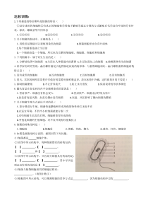 5.4.2《细菌》习题-八年级上册生物人教版