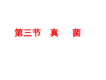 5.4.3《真菌》PPT课件9-八年级上册生物人教版