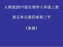 5.4.3《真菌》PPT课件10-八年级上册生物人教版