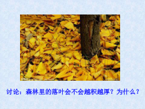 5.4.4《细菌和真菌在自然界中的作用》PPT课件2-八年级上册生物人教版