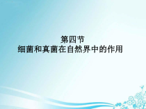5.4.4《细菌和真菌在自然界中的作用》PPT课件6-八年级上册生物人教版