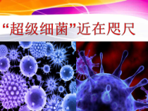 5.4.5《科学·技术·社会 超级细菌，近在咫尺》PPT课件-八年级上册生物人教版