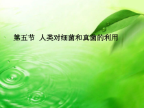 5.4.5《人类对细菌和真菌的利用》PPT课件2-八年级上册生物人教版