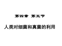 5.4.5《人类对细菌和真菌的利用》PPT课件3-八年级上册生物人教版