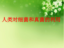5.4.5《人类对细菌和真菌的利用》PPT课件4-八年级上册生物人教版