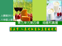 5.4.5《人类对细菌和真菌的利用》PPT课件5-八年级上册生物人教版