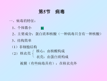 5.5.1《病毒》PPT课件1-八年级上册生物人教版