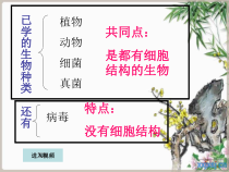 5.5.1《病毒》PPT课件2-八年级上册生物人教版