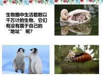 6.1.2《从种到界》PPT课件4-八年级上册生物人教版