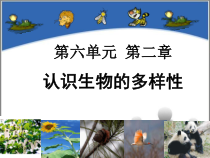 6.2《认识生物的多样》PPT课件2-八年级上册生物人教版