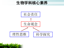 6.3《保护生物的多样性》PPT课件5-八年级上册生物人教版