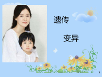 7.2.1《基因控制生物性状》PPT课件1-八年级下册生物人教版