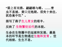 7.1.1《植物的生殖》PPT课件1-八年级下册生物人教版