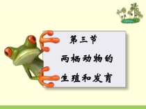7.1.3《两栖动物的生殖》PPT课件5-八年级下册生物人教版
