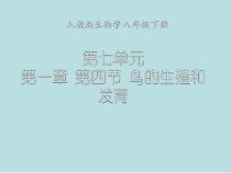 7.1.4《鸟的生殖和发育》PPT课件4-八年级下册生物人教版