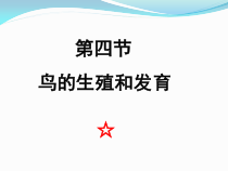 7.1.4《鸟的生殖和发育》PPT课件3-八年级下册生物人教版