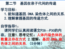 7.2.2《基因在亲子代间的传递》PPT课件4-八年级下册生物人教版