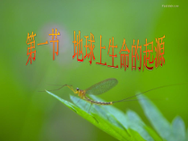 7.3.1《地球上生命的起源》PPT课件3-八年级下册生物人教版