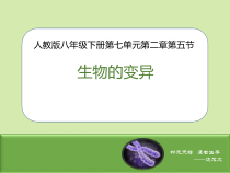 7.2.5《生物的变异》PPT课件2-八年级下册生物人教版