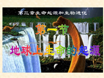 7.3.1《地球上生命的起源》PPT课件2-八年级下册生物人教版