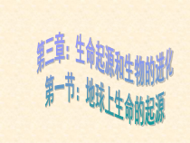 7.3.1《地球上生命的起源》PPT课件4-八年级下册生物人教版