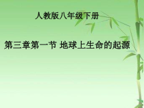 7.3.1《地球上生命的起源》PPT课件6-八年级下册生物人教版