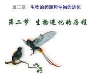 7.3.2《生物进化的历程》PPT课件2-八年级下册生物人教版