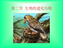 7.3.2《生物进化的历程》PPT课件4-八年级下册生物人教版