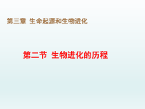 7.3.2《生物进化的历程》PPT课件6-八年级下册生物人教版