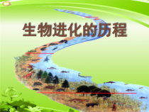 7.3.2《生物进化的历程》PPT课件5-八年级下册生物人教版