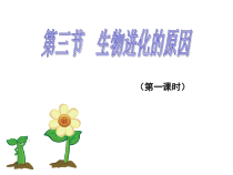 7.3.3《三生物进化的原因》PPT课件2-八年级下册生物人教版