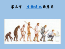 7.3.3《三生物进化的原因》PPT课件3-八年级下册生物人教版