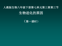 7.3.3《三生物进化的原因》PPT课件4-八年级下册生物人教版