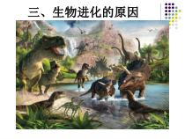 7.3.3《三生物进化的原因》PPT课件5-八年级下册生物人教版