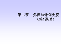 8.1.2《免疫与计划免疫》PPT课件3-八年级下册生物人教版