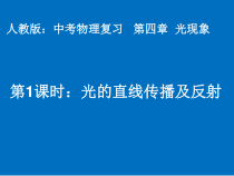《光现象复习课》PPT课件7-八年级物理上册【人教版】