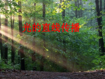 《第1节 光的直线传播》PPT课件2-八年级物理上册【人教版】