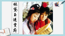 语文版中职语文(基础模块)上册第14课《林黛玉进贾府》课件1