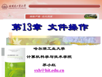 c语言第十三章解析课件
