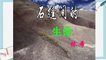 人教版中职语文基础模块下册第6课《石缝间的生命》课件2