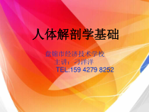 中职人体解剖学基础绪论演示文稿课件