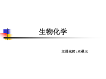 中职生物化学课件