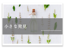4.2《本文：「小さな発見」》ppt课件-八年级初中日语人教版