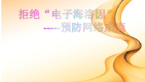 《拒绝“电子海洛因”——预防网络成瘾》PPT课件1-七年级体育与健康【华东师大版】