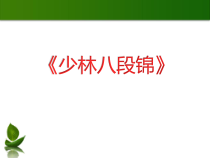 《武术类运动的注意事项》PPT课件1-七年级体育与健康【华东师大版】