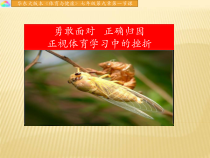 《勇敢面对，正确归因——正视体育学习中的挫折》PPT课件1-七年级体育与健康【华东师大版】