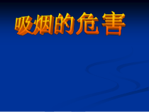 《拒绝吸烟、酗酒》PPT课件3-八年级体育与健康【华东师大版】