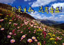 《拒绝毒品》PPT课件4-九年级体育与健康【华东师大版】