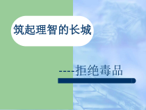 《拒绝毒品》PPT课件5-九年级体育与健康【华东师大版】